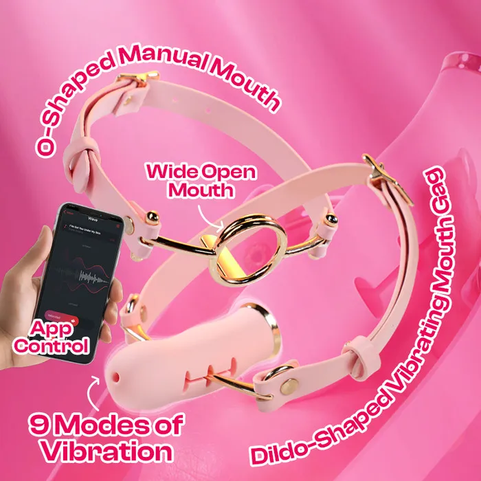 FRISKY BUSINESS SG Sensory Silencer APP Control Vibrating Mouth Gags Male Sex Toys