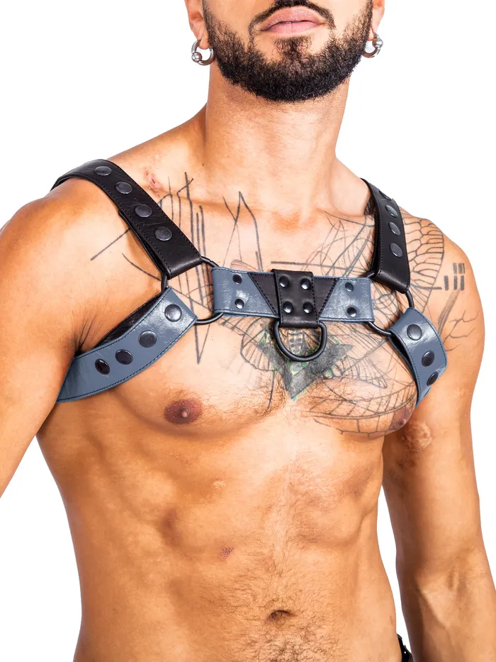 HonourSkintwocom Mens Underwear Bulldog Bondage Harness BlackGrey One Size HonourSkintwocom Mens Underwear Bulldog Bondage Harness BlackGrey One Size