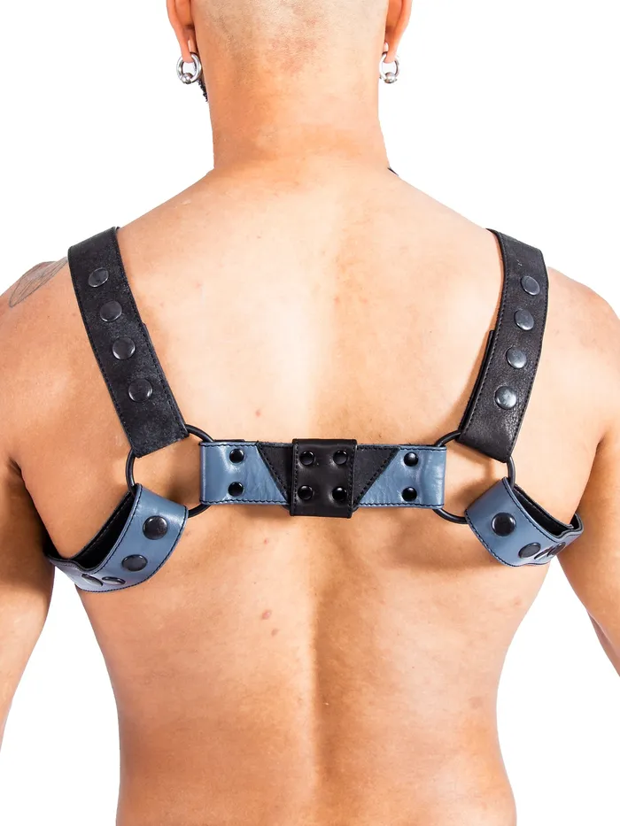 HonourSkintwocom Mens Underwear Bulldog Bondage Harness BlackGrey One Size HonourSkintwocom Mens Underwear Bulldog Bondage Harness BlackGrey One Size