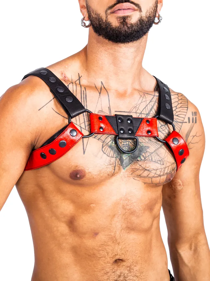HonourSkintwocom Mens Underwear Bulldog Bondage Harness BlackGrey One Size HonourSkintwocom Mens Underwear Bulldog Bondage Harness BlackGrey One Size