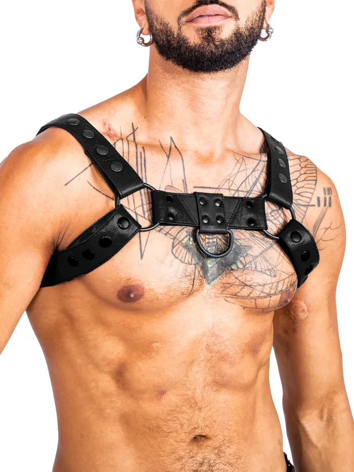 HonourSkintwocom Mens Underwear Bulldog Bondage Harness BlackGrey One Size HonourSkintwocom Mens Underwear Bulldog Bondage Harness BlackGrey One Size