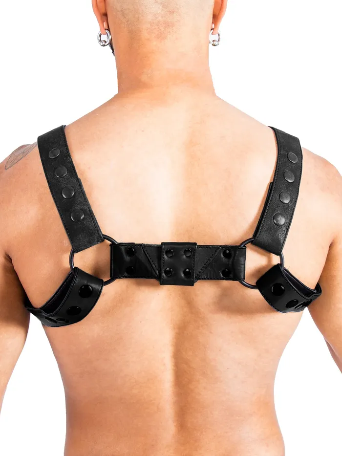 HonourSkintwocom Mens Underwear Bulldog Bondage Harness BlackGrey One Size HonourSkintwocom Mens Underwear Bulldog Bondage Harness BlackGrey One Size