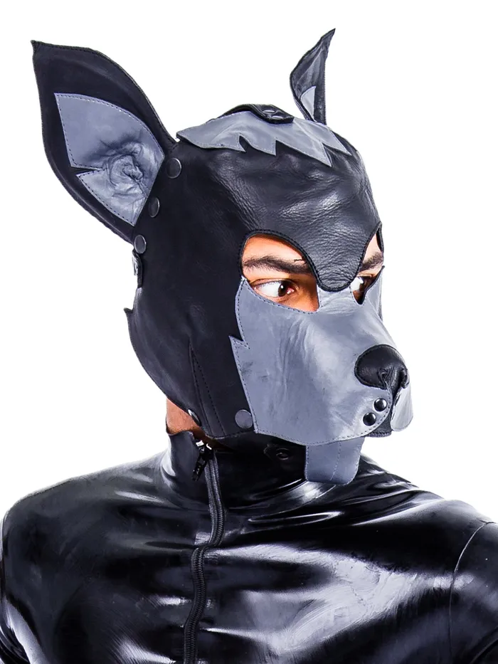 Leather Full Face Dog Mask BlackGrey One Size HonourSkintwocom Anal Leather Full Face Dog Mask BlackGrey One Size HonourSkintwocom Anal