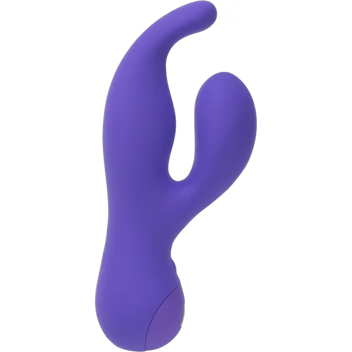 Vibrators Swan Swan Touch Solo Dual Vibrator Rechargeable Purple