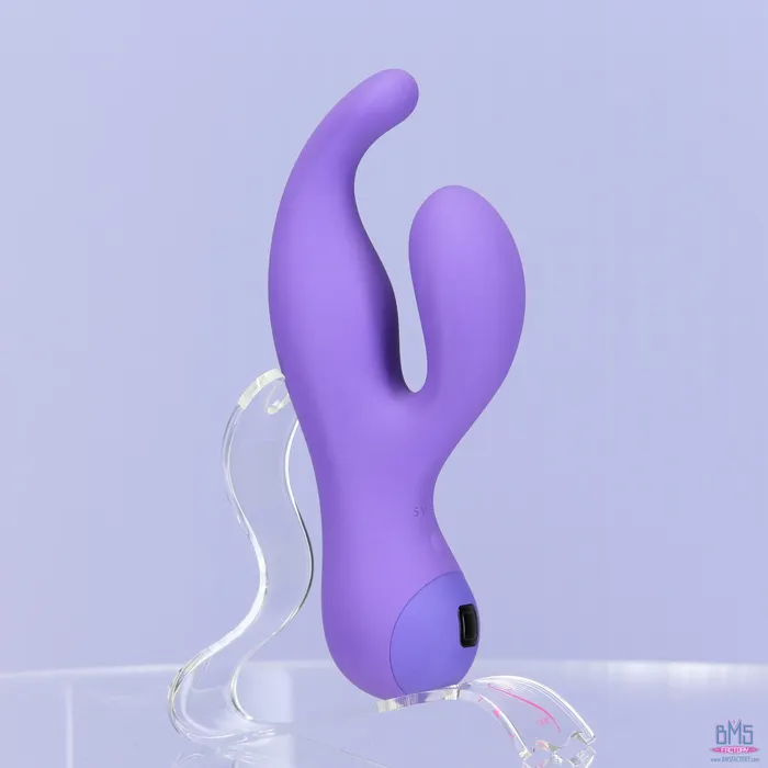 Vibrators Swan Swan Touch Solo Dual Vibrator Rechargeable Purple