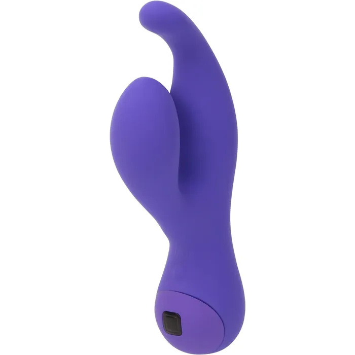 Vibrators Swan Swan Touch Solo Dual Vibrator Rechargeable Purple