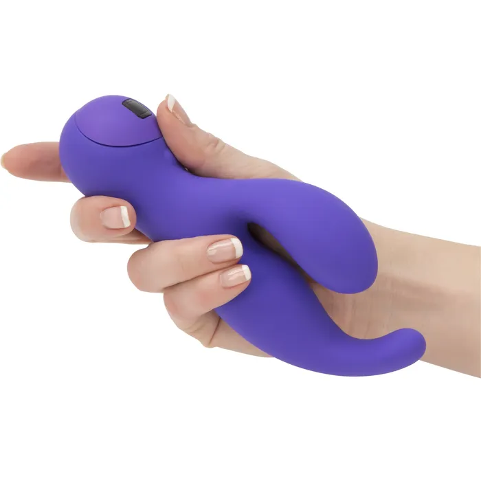 Vibrators Swan Swan Touch Solo Dual Vibrator Rechargeable Purple