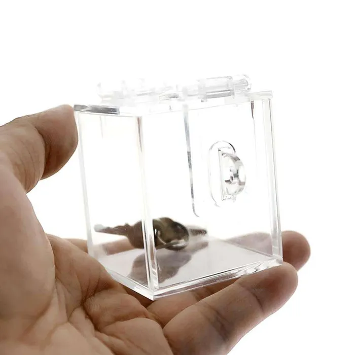 Male Sex Toys Oxyshop The Chastity Key Safe Games Keyholding Service