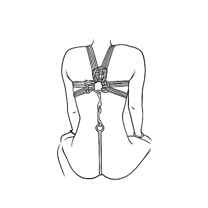 Stainless Steel Anal Hook Oxyshop Anal