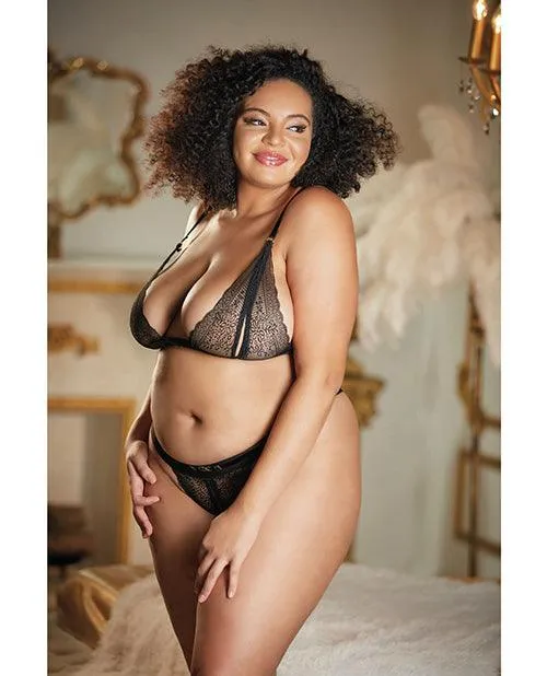 Anal Allure Lingerie Lp Allure Lace Peek A Boo Bralette Panty Black Qn