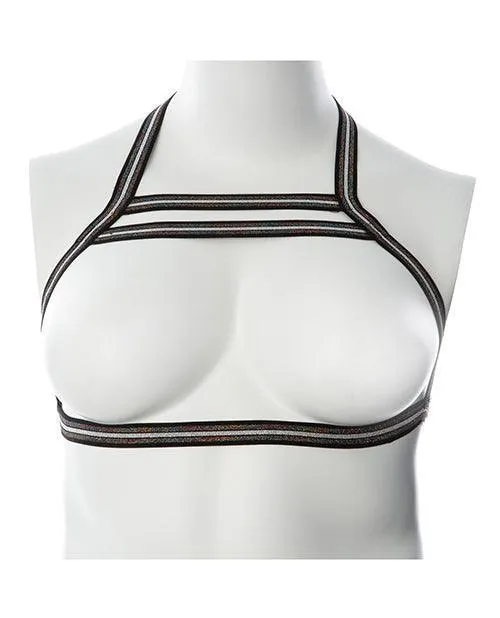 Anal Thank Me Now INC Gender Fluid Silver Lining Harness