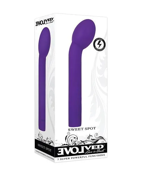 Vibrators Evolved Novelties INC Evolved Sweet Spot Purple