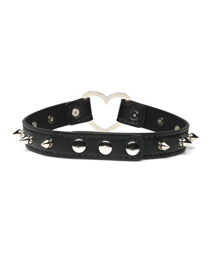 Xr LLC Anal Master Series Spiked Heart Choker