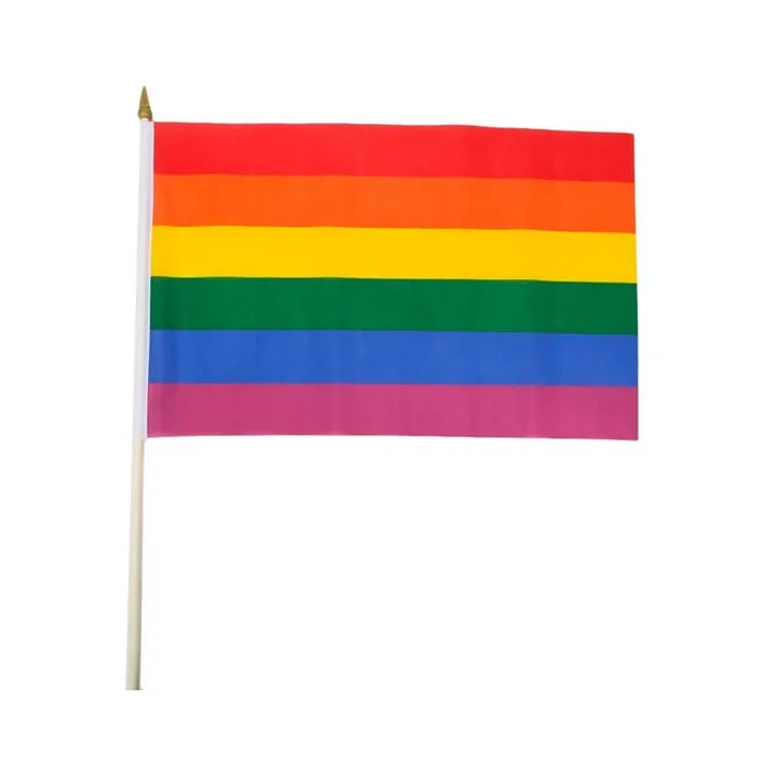 PHS International Gaysentials Rainbow Stick Flag 4in X 6in Anal