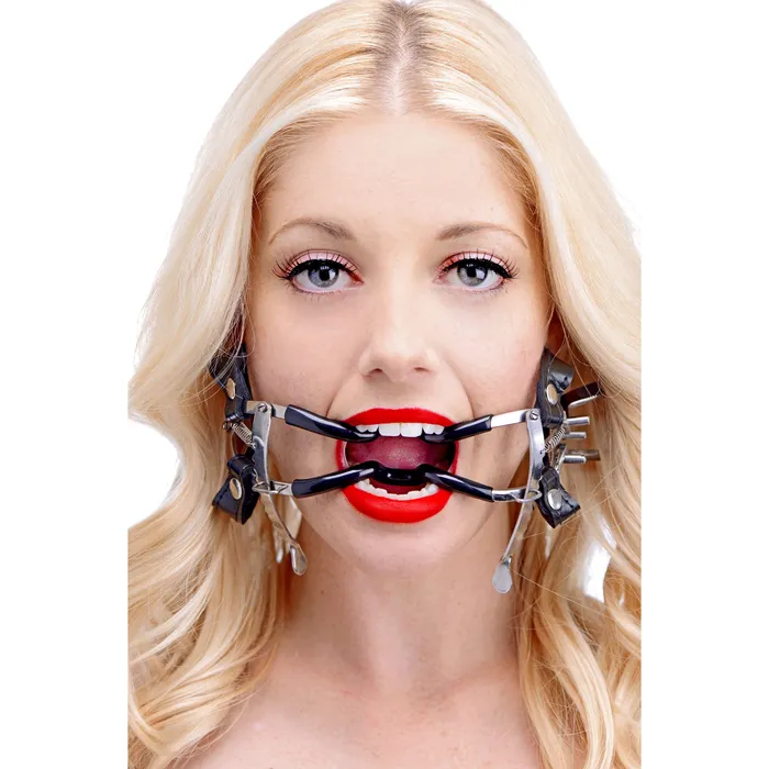 Ratchet Style Jennings Mouth Gag with Strap Master Series Female Sex Toys