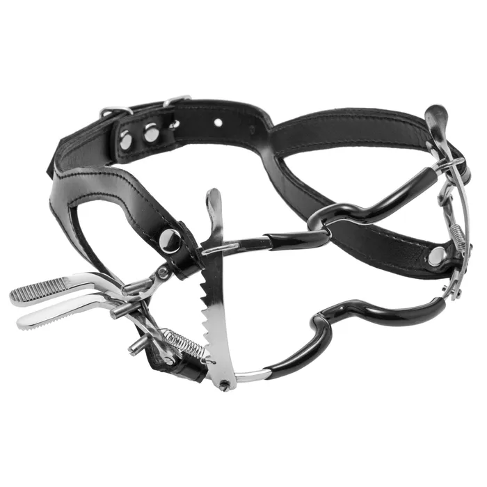 Ratchet Style Jennings Mouth Gag with Strap Master Series Female Sex Toys