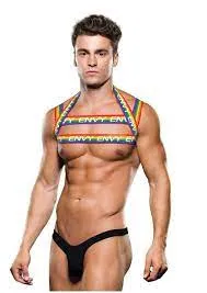 XGEN LLC Female Sex Toys RAINBOW HARNESS LXL