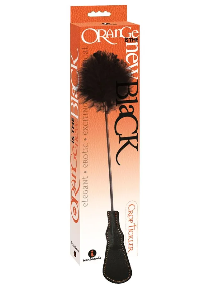 Anal Orange Is The New Black Riding Crop and Tickler Orange is the New Black