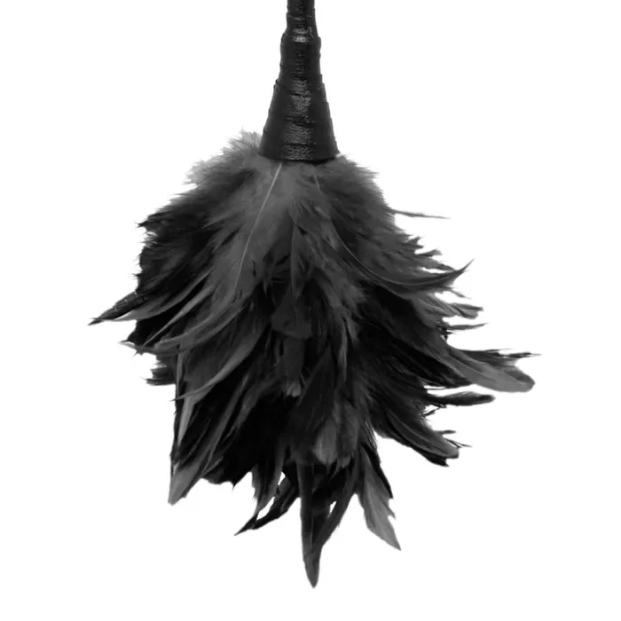 Couples Fetish Fantasy Series Fetish Fantasy Series Frisky Feather Duster Black