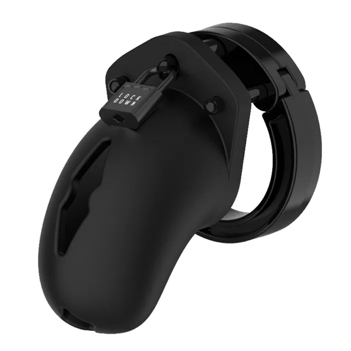 Lockdown Male Sex Toys Lockdown Chastity Cage Black Small