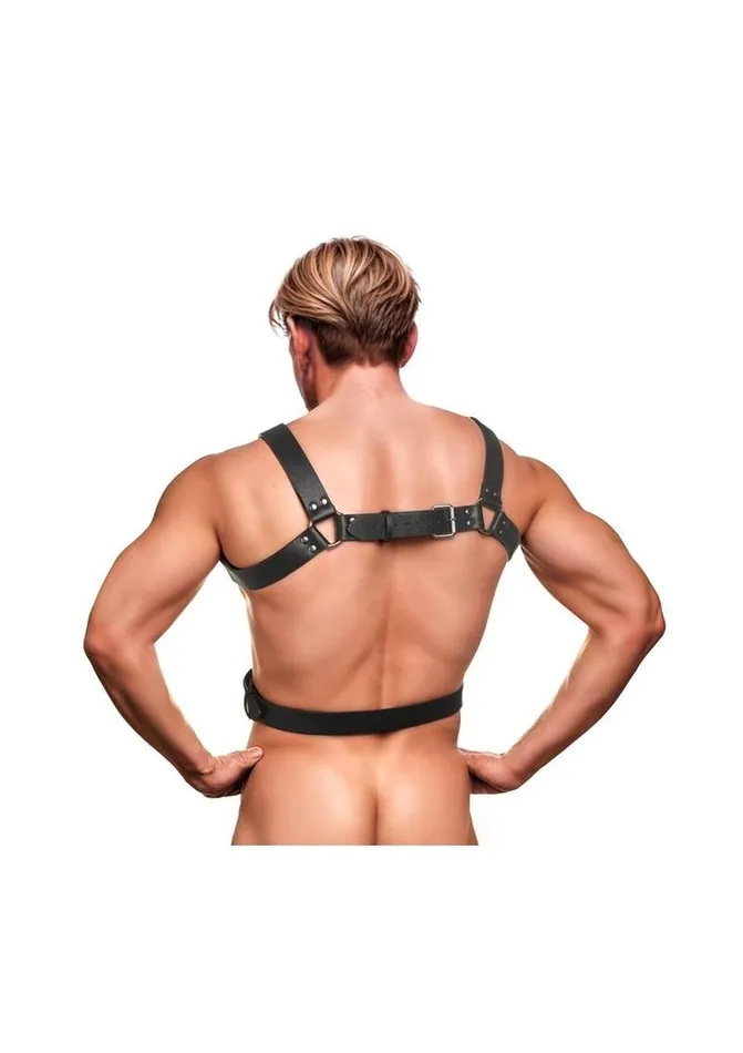 Male Sex Toys STRICT Strict 6 ORing Chest Harness