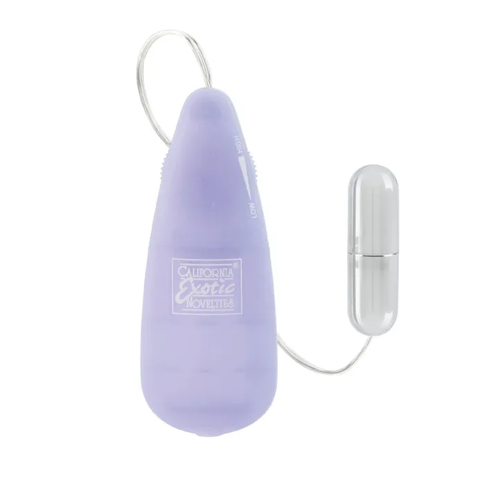 CalExotics Female Sex Toys First Time Silver Teaser Silver