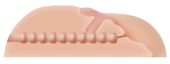 Male Sex Toys Zero Tolerance Kendra Lust Life Size Vagina Stroker with Ass Male Sex Toys Zero Tolerance Kendra Lust Life Size Vagina Stroker with Ass