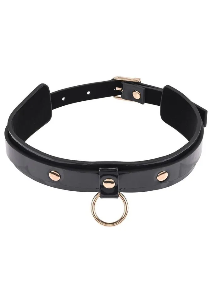 Sex and Mischief Sex and Mischief Orbit Day Collar Couples